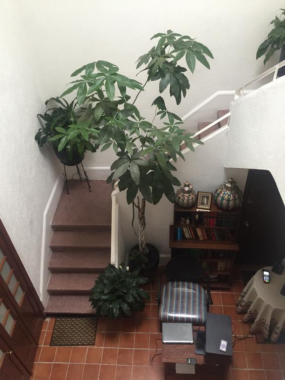 墨西哥城 Casa Maria Elena Condesa (Adults Only)酒店 外观 照片