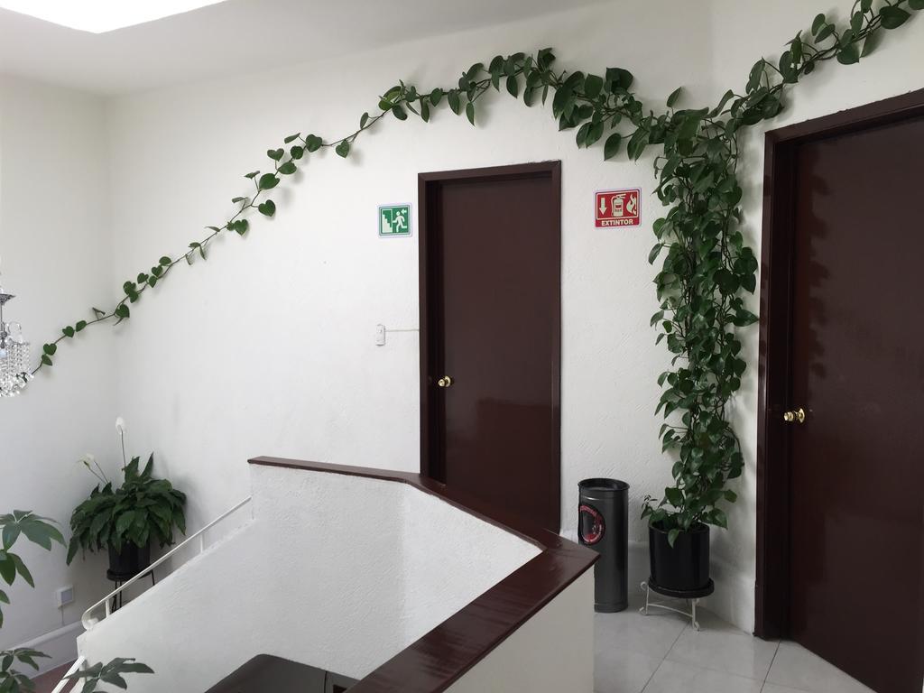 墨西哥城 Casa Maria Elena Condesa (Adults Only)酒店 外观 照片