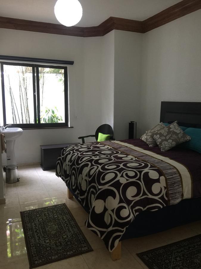 墨西哥城 Casa Maria Elena Condesa (Adults Only)酒店 外观 照片