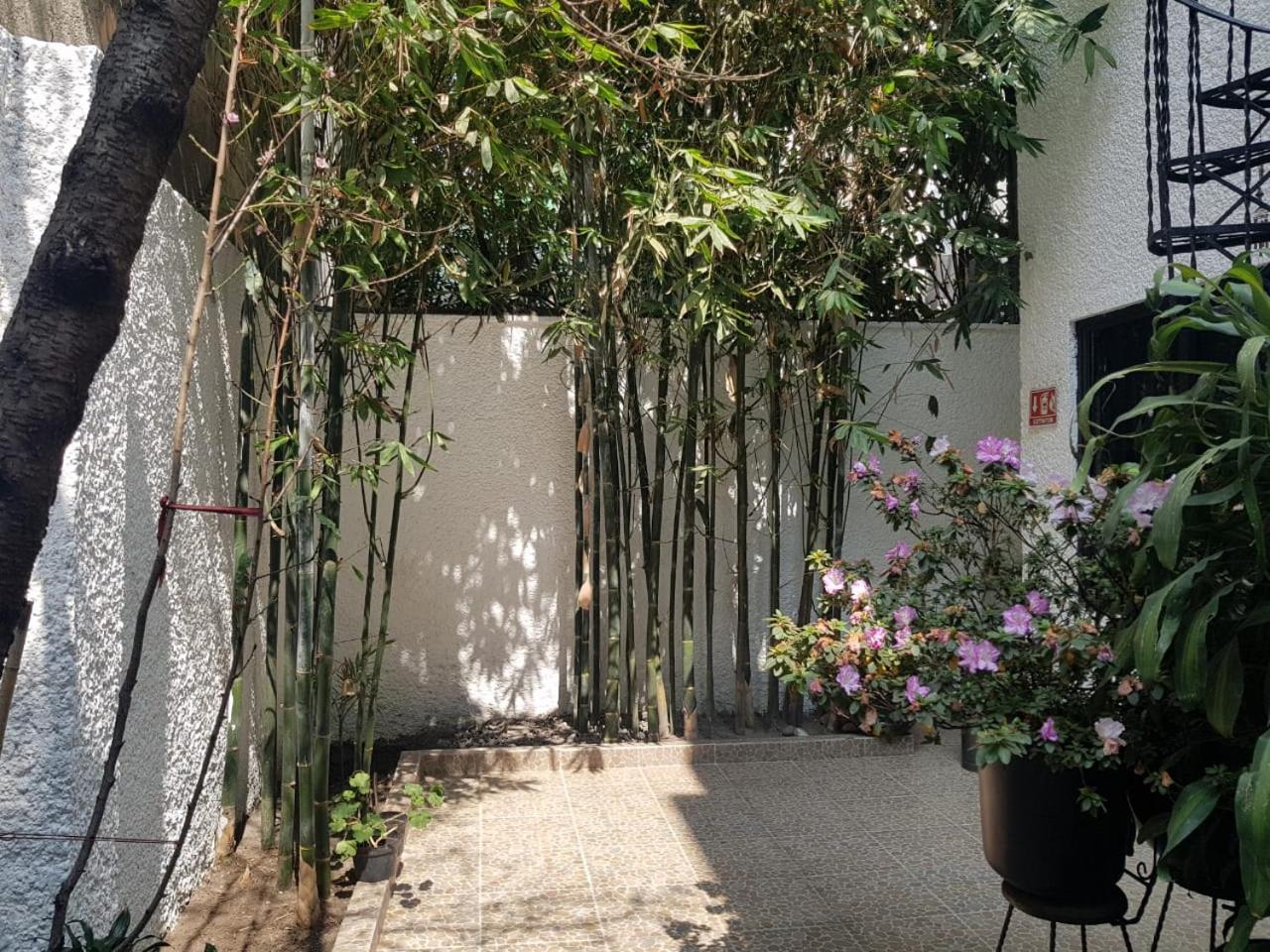 墨西哥城 Casa Maria Elena Condesa (Adults Only)酒店 外观 照片